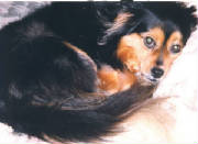 bitpic040.jpg