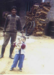 colrinzin01_i.jpg