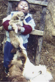 colrinzin03_i.jpg