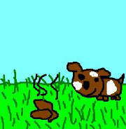 dogpoop.jpg