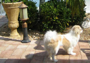 macypic043.jpg