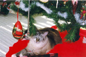 scan02163.jpg