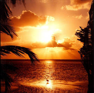 sunset1.jpg