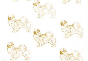 tibetan-spaniel2.jpg