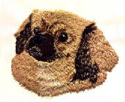 tibetan_spaniel.jpg