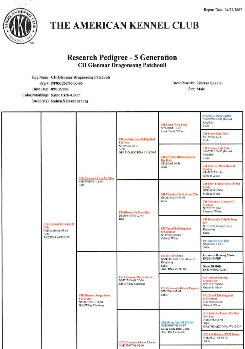 akcresearchpedigree-5generationpage1.jpg