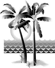 palm_trees__sunset.jpg