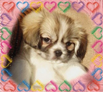 playtimeforcoco.gif