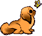 tibbie_anim.gif